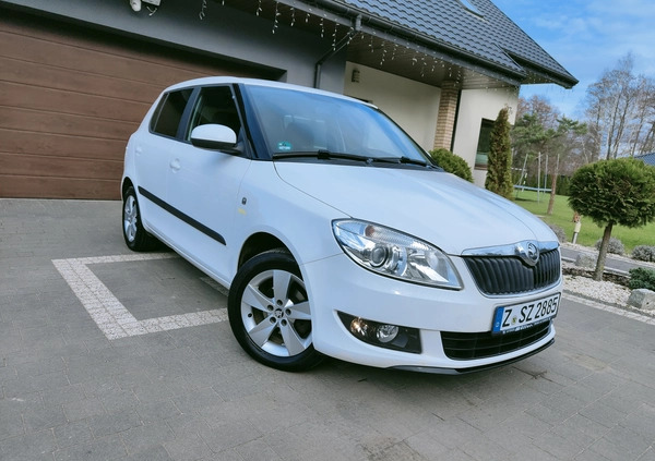 Skoda Fabia cena 18500 przebieg: 193000, rok produkcji 2013 z Warka małe 529